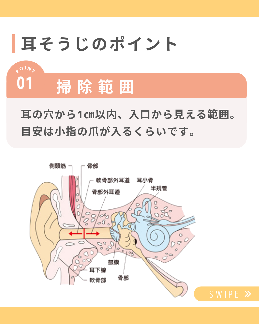 医療の豆知識